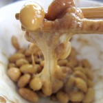 Natto - sója
