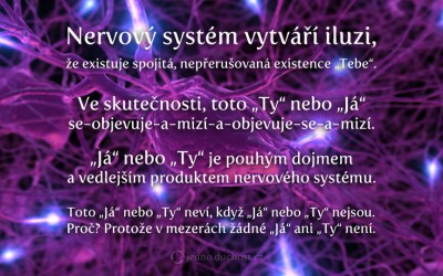 Iluze nervového systému